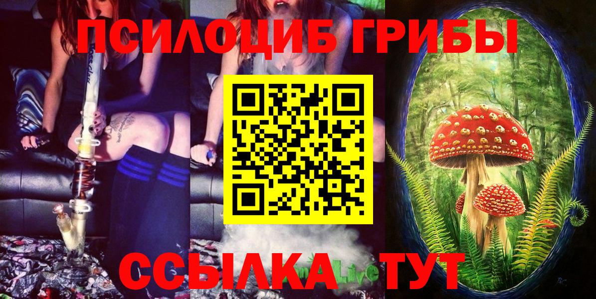 Псилоцибиновые грибы Psilocybine cubensis  Псилоцибиновые грибы Magic Shrooms  Воткинск  Вход с VPN 